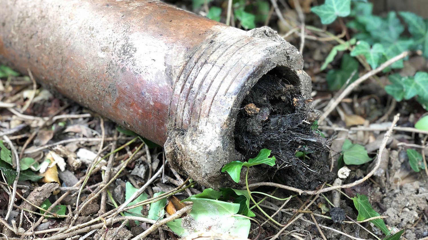 Blocked drains in West Derrimut