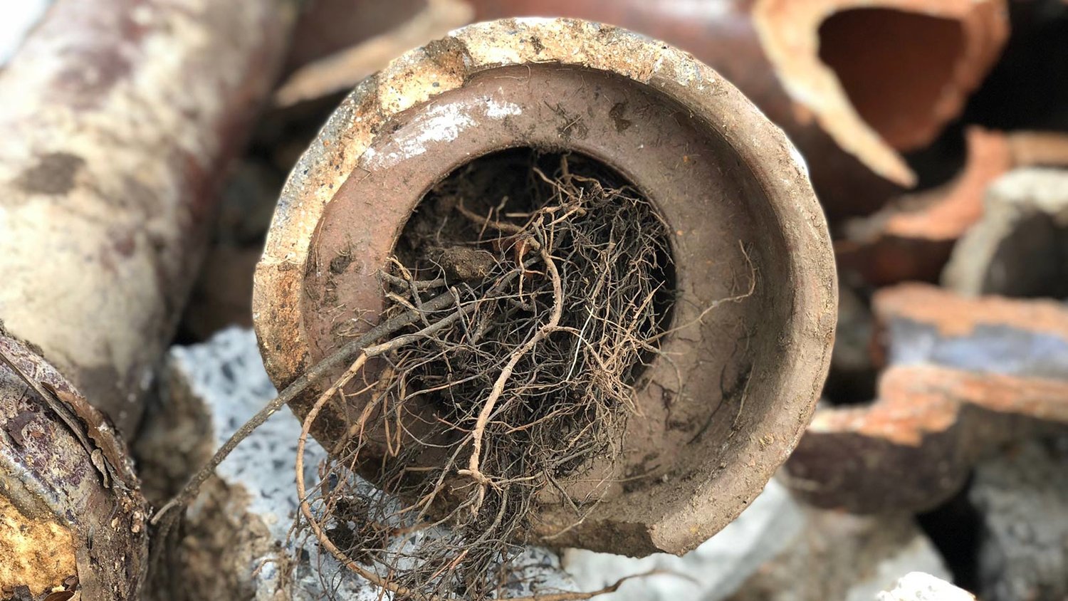 Heidelberg West Victoria blocked drains plumbers